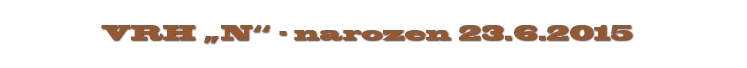 Vrh „N“ — narozen 23.6.2015