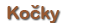 Kočky