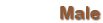Male