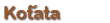 Koťata